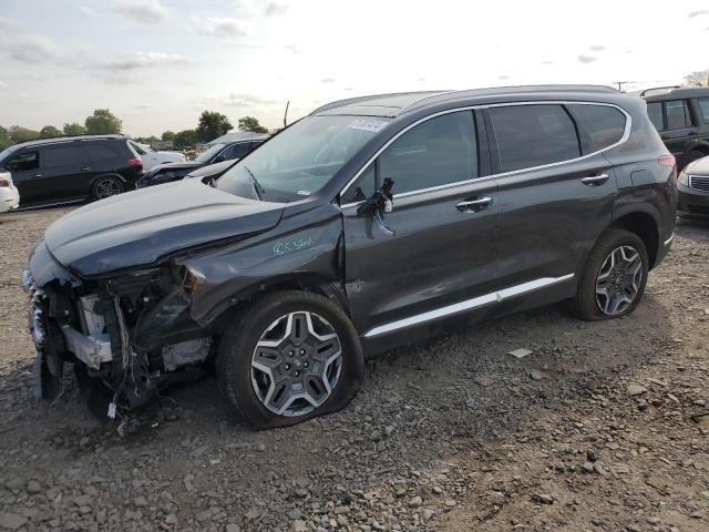 HYUNDAI SANTA FE L 2023 with VIN 5NMS5DA16PH018103 - Photo from auction