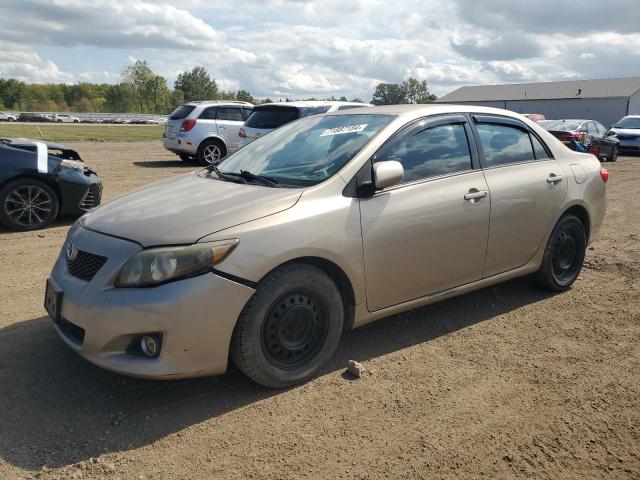 TOYOTA COROLLA BA 2009 with VIN 2T1BU40E69C061405 - Photo from auction