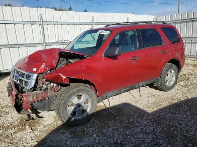 Photo 1 from auction – 2011 FORD ESCAPE XLT with VIN 1FMCU0DGXBKC20502