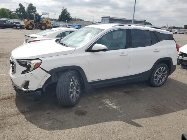GMC TERRAIN SL 2021 with VIN 3GKALVEV0ML326603 - Photo from auction