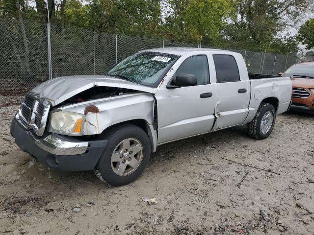 DODGE DAKOTA QUA 2005 with VIN 1D7HE48N65S138476 - Photo from auction