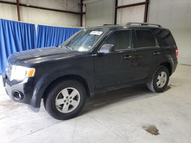 FORD ESCAPE XLT 2009 with VIN 1FMCU93G59KC56677 - Photo from auction