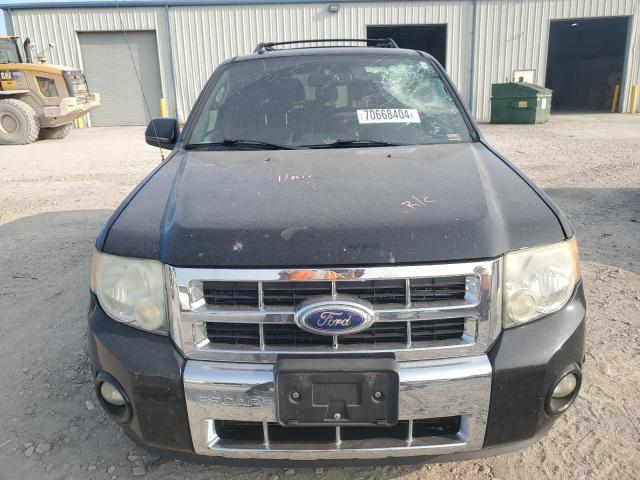 Photo 5 from auction – 2011 FORD ESCAPE LIM with VIN 1FMCU0EG3BKB59329