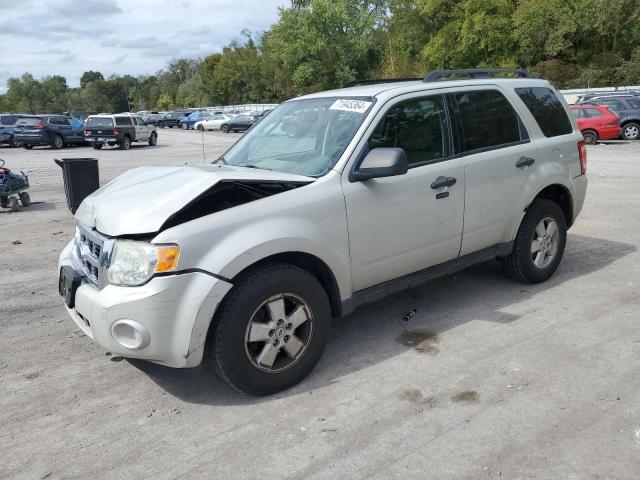 FORD ESCAPE XLT 2009 with VIN 1FMCU93G69KD15767 - Photo from auction