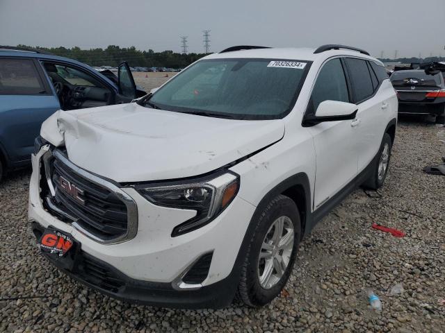 GMC TERRAIN SL 2019 with VIN 3GKALMEV9KL401208 - Photo from auction