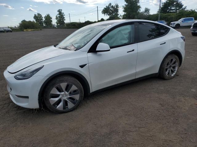 TESLA MODEL Y 2020 with VIN 5YJYGDEE2LF026213 - Photo from auction