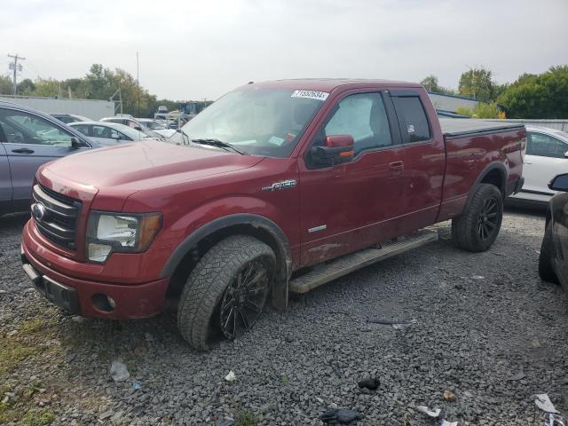 FORD F150 SUPER 2013 with VIN 1FTFX1ET0DFB48442 - Photo from auction