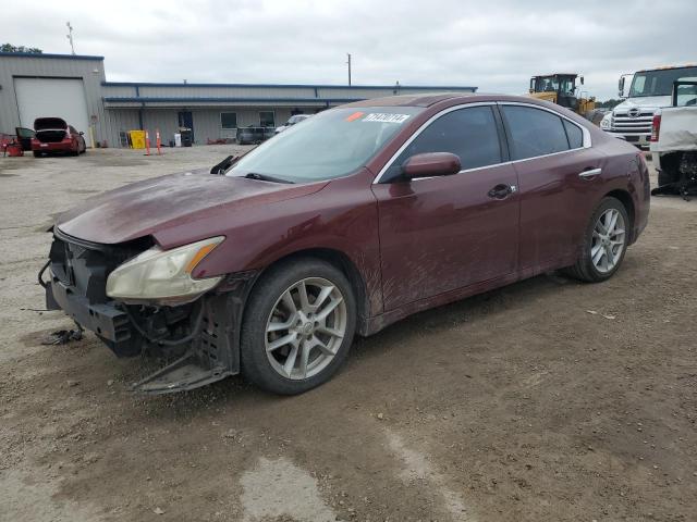 Photo 1 from auction – 2010 NISSAN MAXIMA S with VIN 1N4AA5AP9AC839225