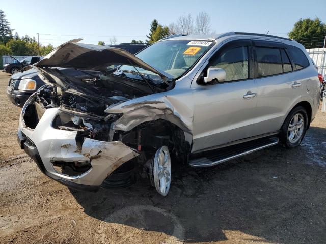 HYUNDAI SANTA FE G 2010 with VIN 5NMSG3AB3AH399378 - Photo from auction