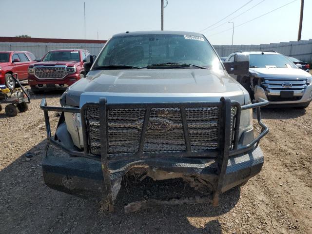 Photo 5 from auction – 2010 FORD F150 SUPER with VIN 1FTFW1EV1AFB22321