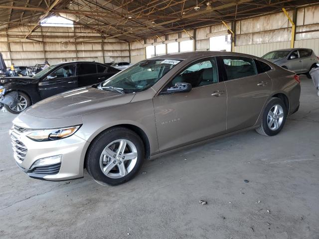 CHEVROLET MALIBU LT 2024 with VIN 1G1ZD5ST4RF219840 - Photo from auction