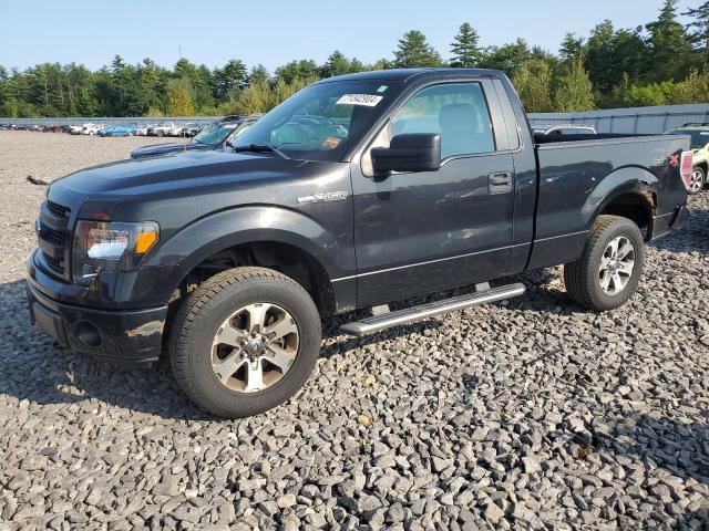 FORD F150 2013 with VIN 1FTMF1EF0DFB71871 - Photo from auction