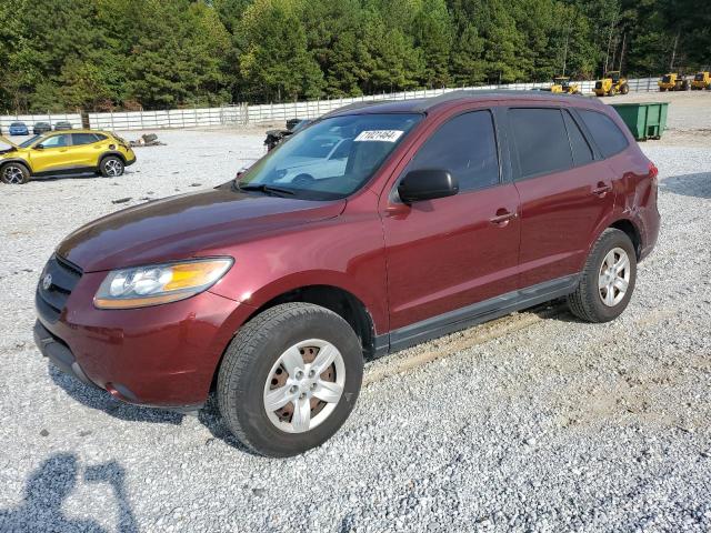 HYUNDAI SANTA FE G 2009 with VIN 5NMSG13D39H266621 - Photo from auction
