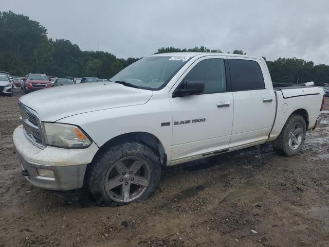 DODGE RAM 1500 S 2012 with VIN 1C6RD7LT6CS154206 - Photo from auction