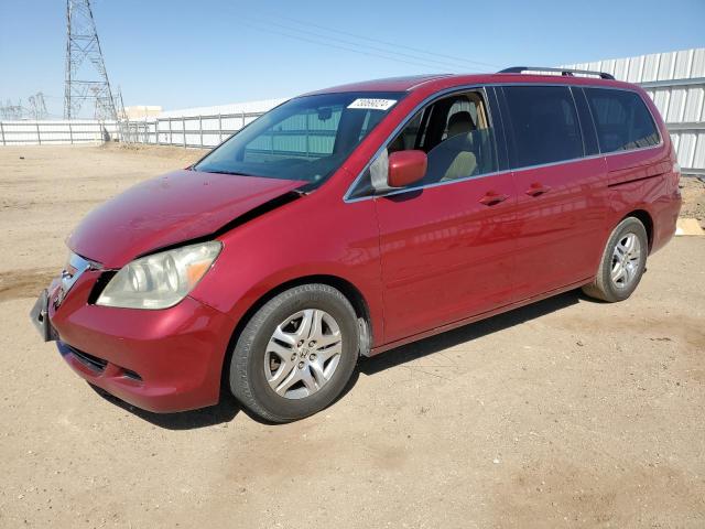 HONDA ODYSSEY EX 2006 with VIN 5FNRL38786B030228 - Photo from auction