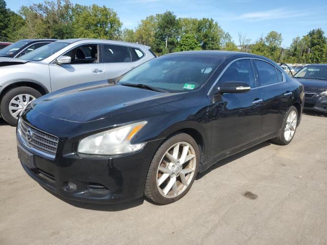 Zdjęcie 1 z aukcji – 2009 NISSAN MAXIMA S z VIN 1N4AA51E29C830716