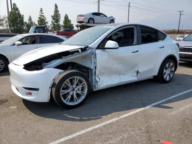TESLA MODEL Y 2023 with VIN 7SAYGDEE3PA040658 - Photo from auction
