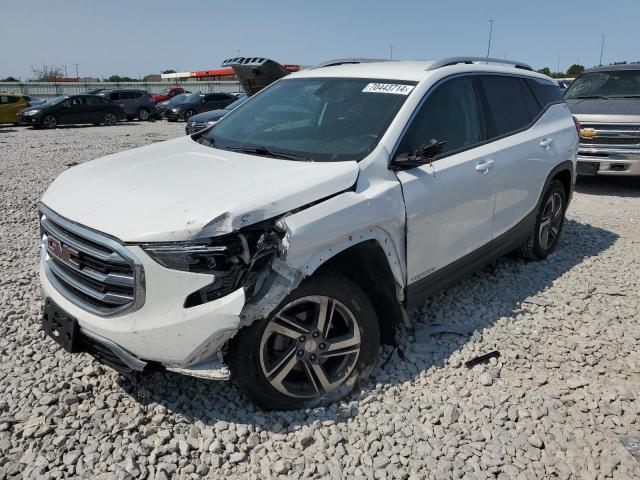 GMC TERRAIN SL 2019 with VIN 3GKALVEV7KL359529 - Photo from auction