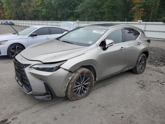 LEXUS NX 350 2023 with VIN 2T2GGCEZ6PC018050 - Photo from auction