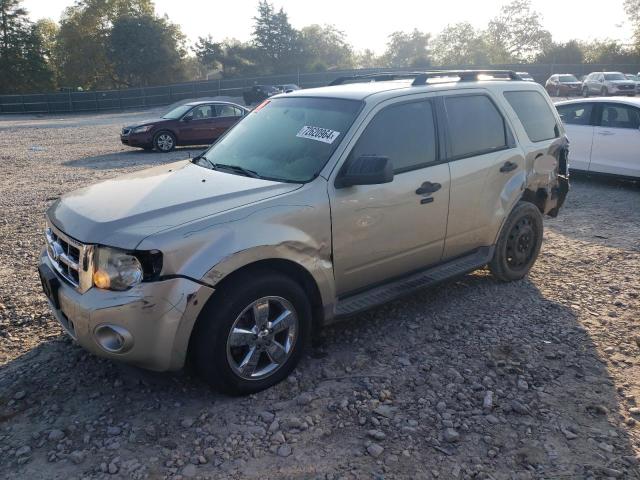 FORD ESCAPE XLT 2011 z numerem VIN 1FMCU0DG7BKA50289 - Zdjęcie z aukcji