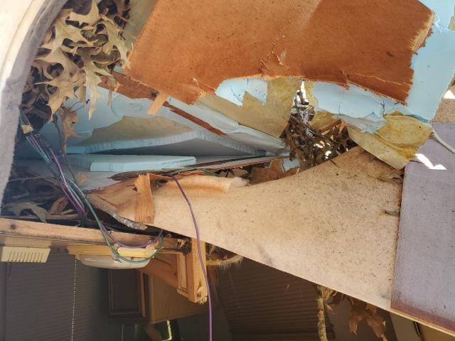Photo 10 from auction – 1996 WINNEBAGO RIALTA with VIN 1WVAE0709TH033780