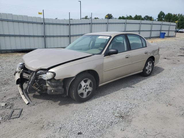 CHEVROLET CLASSIC 2005 with VIN 1G1ND52F25M159099 - Photo from auction