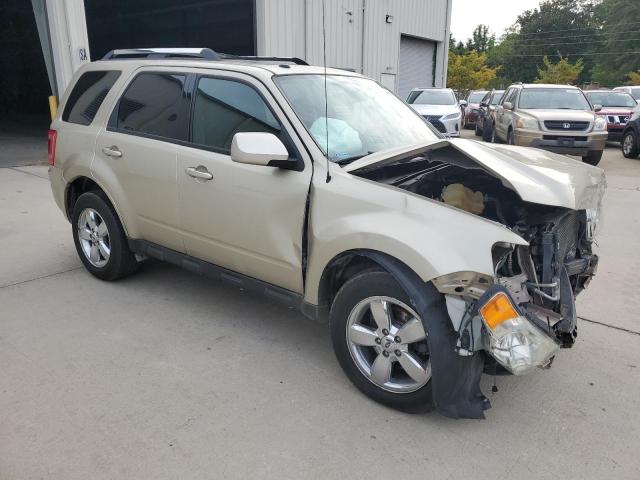 Photo 4 from auction – 2011 FORD ESCAPE LIM with VIN 1FMCU9EG6BKA92617