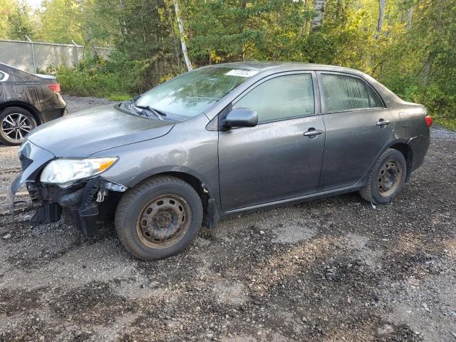 TOYOTA COROLLA BA 2010 with VIN 2T1BU4EE4AC356323 - Photo from auction