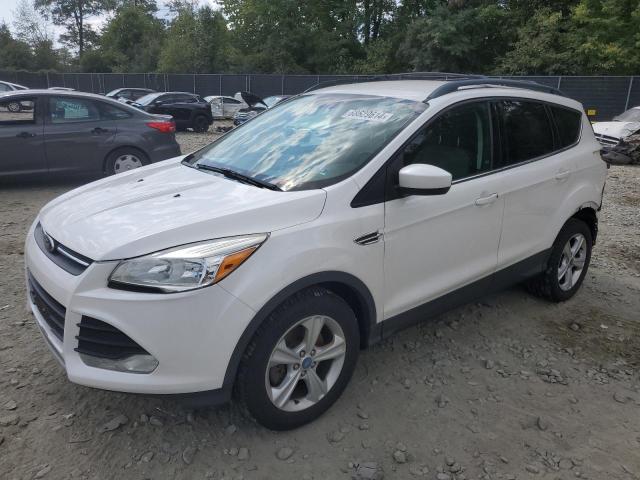FORD ESCAPE SE 2013 with VIN 1FMCU9GX4DUA08024 - Photo from auction