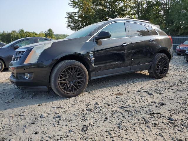 CADILLAC SRX PERFOR 2010 with VIN 3GYFNBEY9AS522619 - Photo from auction