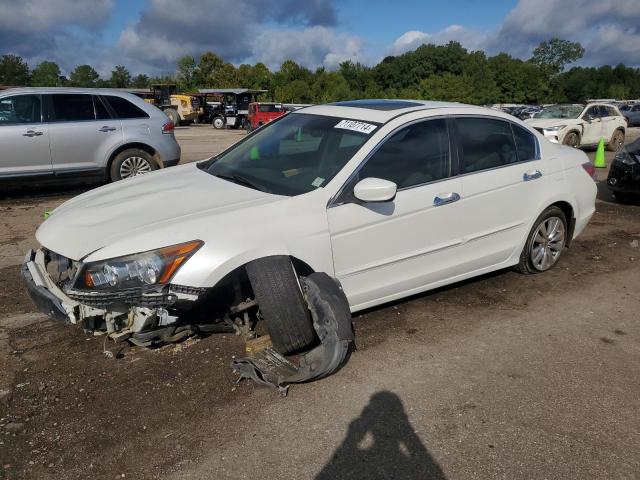 HONDA ACCORD EXL 2011 with VIN 5KBCP3F86BB004129 - Photo from auction