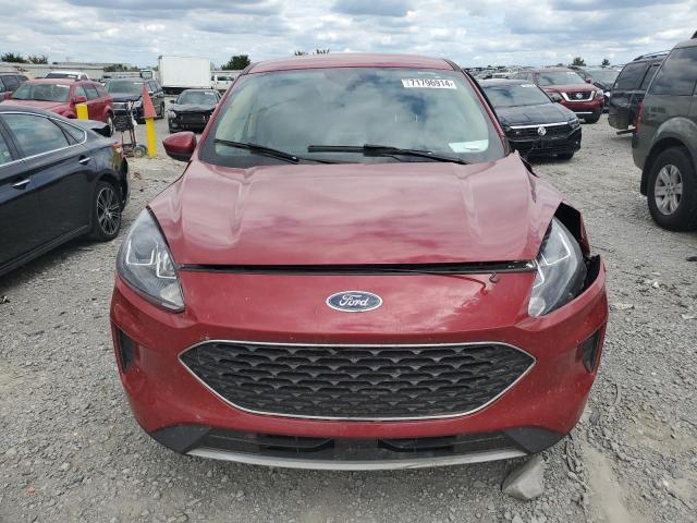Photo 5 from auction – 2020 FORD ESCAPE SE with VIN 1FMCU9G66LUA93129