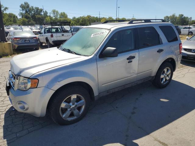 Photo 1 from auction – 2009 FORD ESCAPE XLT with VIN 1FMCU93G89KA21531