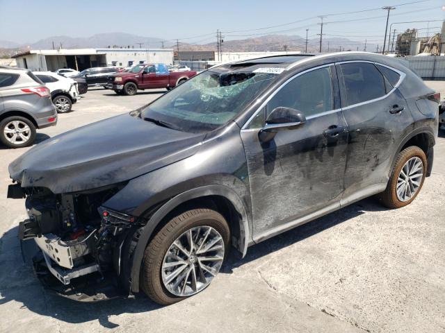 LEXUS NX 250 BAS 2025 with VIN 2T2ADCAZ8SC019729 - Photo from auction