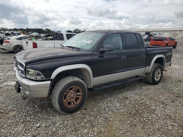 DODGE DAKOTA QUA 2003 with VIN 1D7HG48N43S267503 - Photo from auction