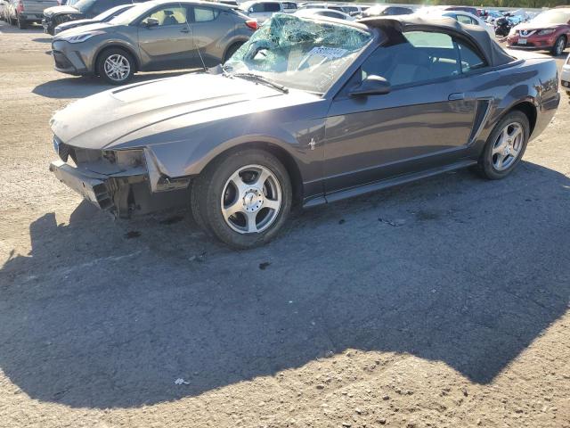 FORD MUSTANG 2003 with VIN 1FAFP44403F442519 - Photo from auction