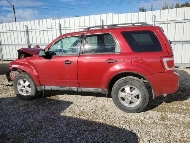 Photo 2 from auction – 2011 FORD ESCAPE XLT with VIN 1FMCU0DGXBKC20502