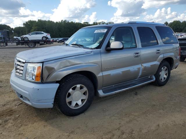 CADILLAC ESCALADE L 2002 with VIN 1GYEC63TX2R156657 - Photo from auction
