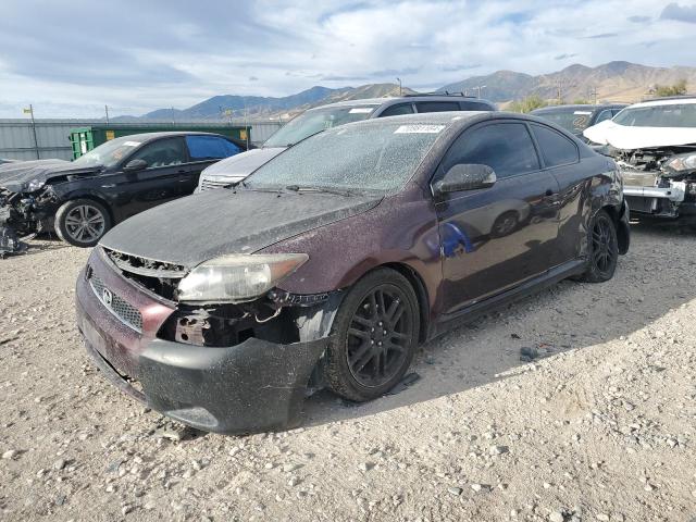 TOYOTA SCION TC 2008 with VIN JTKDE167380266307 - Photo from auction