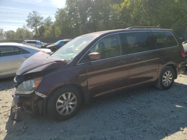 Photo 1 from auction – 2009 HONDA ODYSSEY EX with VIN 5FNRL38729B006494