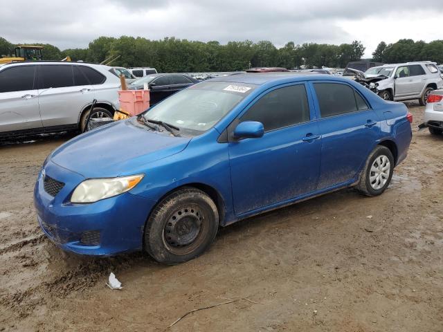 TOYOTA COROLLA BA 2010 with VIN 1NXBU4EEXAZ285885 - Photo from auction