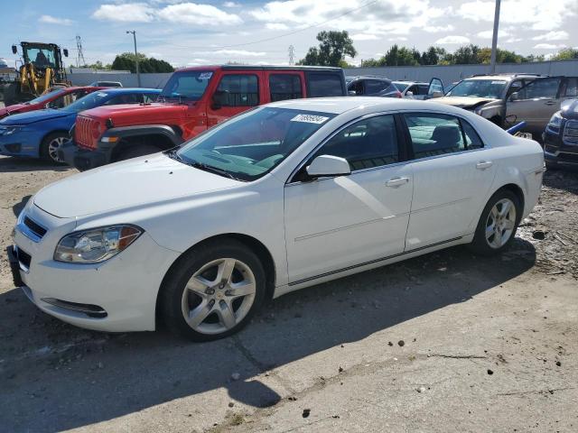 CHEVROLET MALIBU 1LT 2010 with VIN 1G1ZC5EB4AF249706 - Photo from auction
