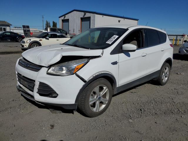 FORD ESCAPE SE 2013 with VIN 1FMCU9G98DUC72736 - Photo from auction