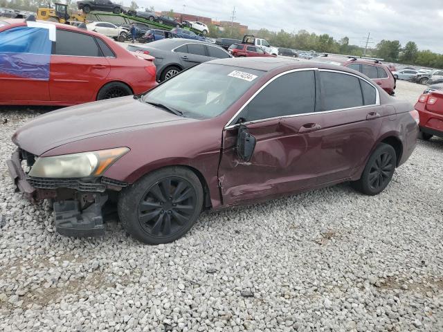 HONDA ACCORD EXL 2011 with VIN 1HGCP2F83BA008366 - Photo from auction