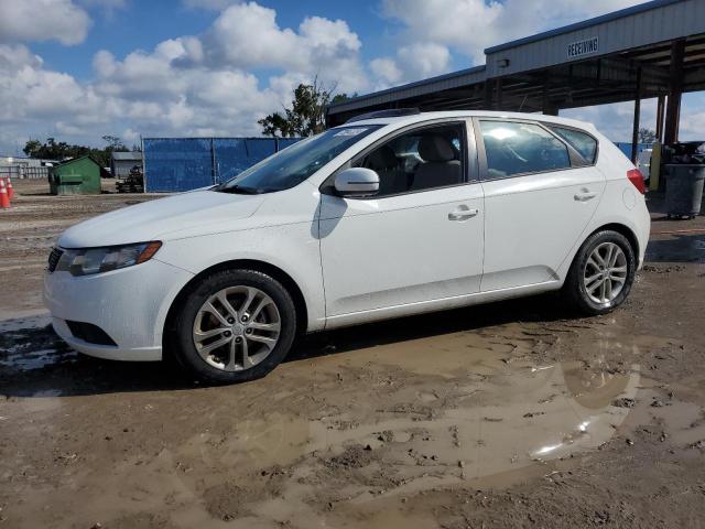 KIA FORTE EX 2012 with VIN KNAFU5A2XC5593205 - Photo from auction