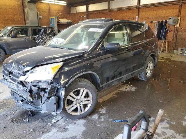 HONDA CR-V EXL 2011 with VIN JHLRE3H70BC007529 - Photo from auction
