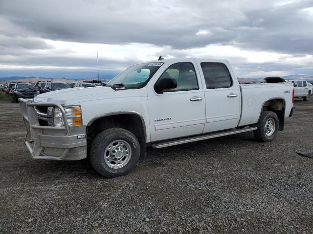 CHEVROLET SILVERADO 2009 with VIN 1GCHK53K19F117281 - Photo from auction
