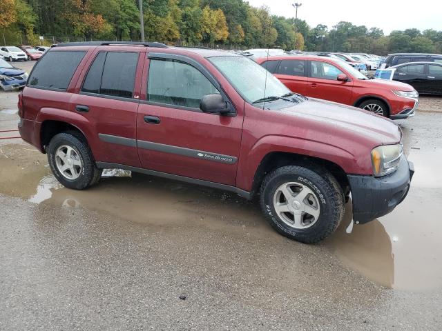 Photo 4 from auction – 2004 CHEVROLET TRAILBLAZE with VIN 1GNDT13S042389235