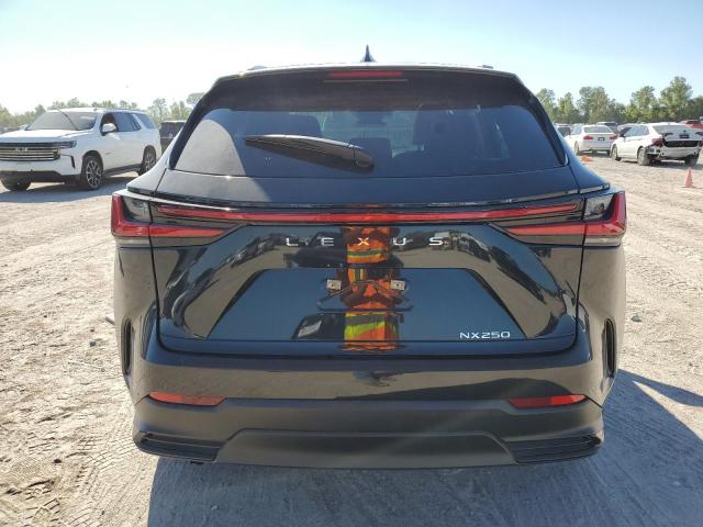 Photo 6 from auction – 2024 LEXUS NX 250 BAS with VIN 2T2ADCAZ9RC013724