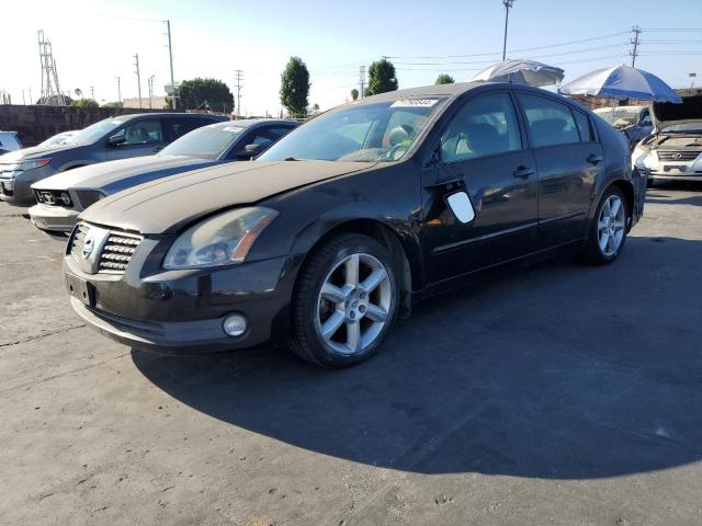 NISSAN MAXIMA SE 2004 with VIN 1N4BA41E74C818455 - Photo from auction
